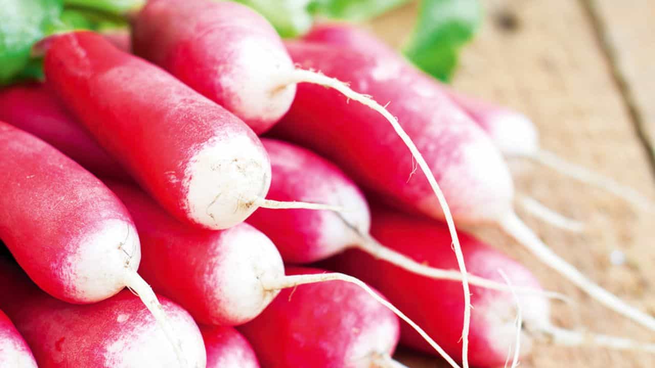 English Name: গাজরের ইংরেজি carrot, মূলোর ইংরেজি জানেন? English Name: গাজরের ইংরেজি carrot, মূলোর ইংরেজি জানেন?