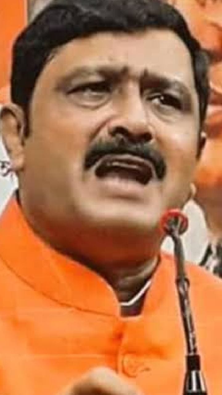 'অপরাধ করলে সাজা পেতেই হবে...' কেন বললেন রাহুল সিনহা?