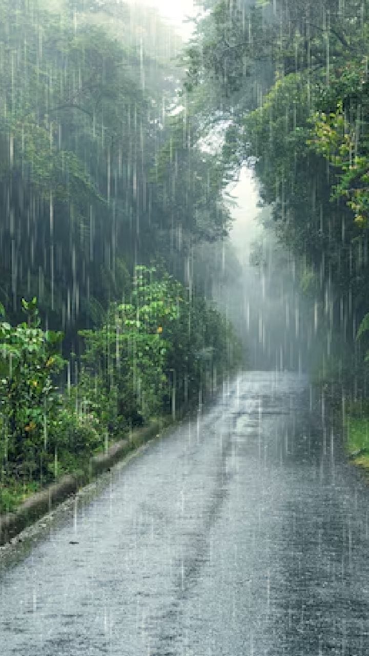 নিম্নচাপের জেরে আবহাওয়ার বড়সড় পরিবর্তন বাংলায়