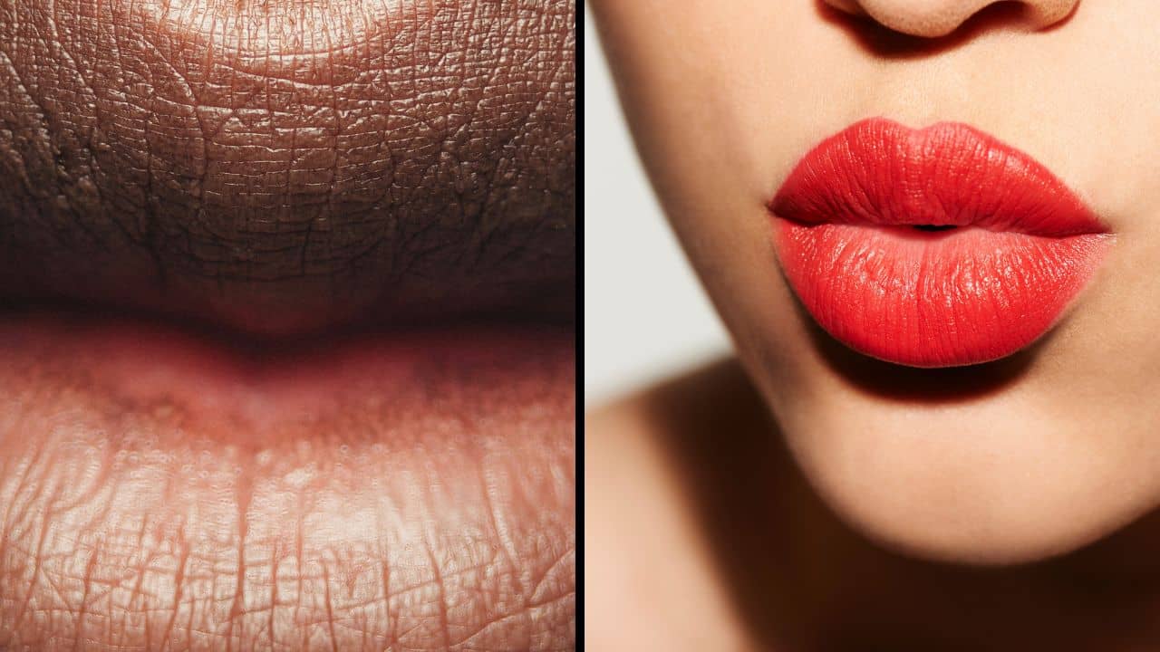 Lip Care: ঠোঁট কালচে হচ্ছে? কী করলে পুজোর আগে ফিরবে ঠোঁটের আসল রং, দেখুন!