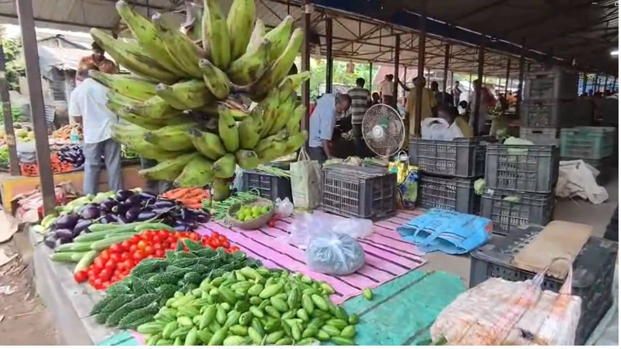 Vegetable Price Gap: রাস্তার ধারের দুটো বাজারের দূরত্ব মেরেকেটে ১০০ ফুট, তাতে পটল-আলুর দাম কেজি প্রতি বাড়ছে ৩০ টাকা! আপনার এলাকায় কোন বাজার থেকে সবজি কিনবেন জানুন