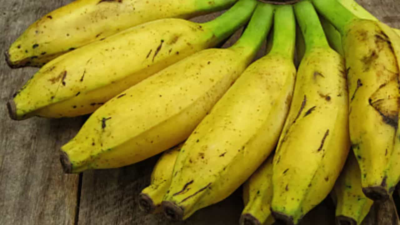 Swallowing Banana seeds: কাঁঠালি কলার বীজ পেটে চলে গেলে কী হবে জানেন? Swallowing Banana seeds: কাঁঠালি কলার বীজ পেটে চলে গেলে কী হবে জানেন?
