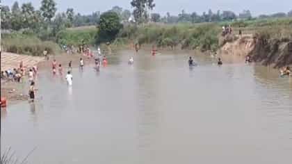 রুই, কাতলা, মৃগেল- নদীতে ভেসে উঠতে থাকে একের পর এক মরা মাছ!