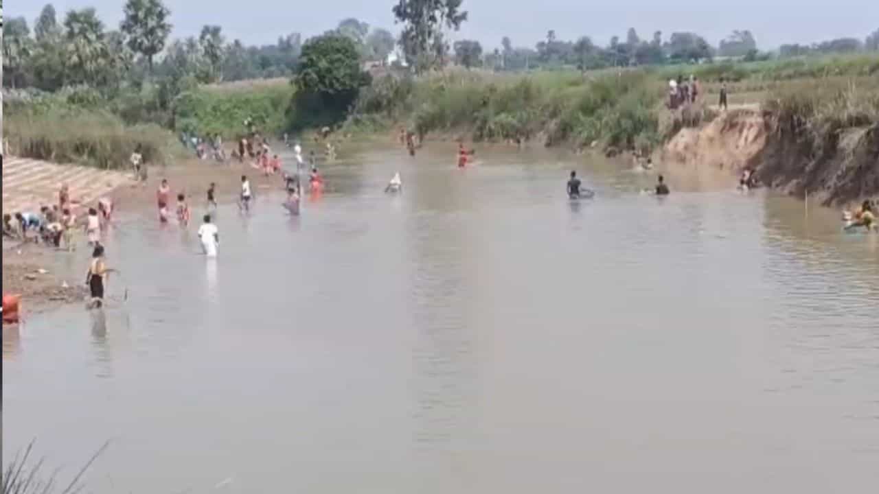 Chemical pollution suspected: রুই, কাতলা, মৃগেল- নদীতে ভেসে উঠতে থাকে একের পর এক! আর তা ধরতে হুড়োহুড়ি! প্রাণনাশকও হতে পারে, সতর্ক করলেন বিজ্ঞানীরা Chemical pollution suspected: রুই, কাতলা, মৃগেল- নদীতে ভেসে উঠতে থাকে একের পর এক! আর তা ধরতে হুড়োহুড়ি! প্রাণনাশকও হতে পারে, সতর্ক করলেন বিজ্ঞানীরা