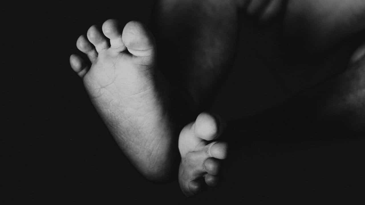 Child Death: এই মাসেই আবাসনে থাকতে আসেন, কোলের শিশুকে সাততলা থেকে সোজা ছুড়ে ফেলে দিল প্রতিবেশীর মেয়ে! Child Death: এই মাসেই আবাসনে থাকতে আসেন, কোলের শিশুকে সাততলা থেকে সোজা ছুড়ে ফেলে দিল প্রতিবেশীর মেয়ে!