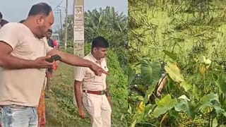 কচুরিপানা-শ্যাওলায় ভর্তি খাল, সেখানে সাদা মতো কী একটা দেখা যাচ্ছিল, উঁকি মারতেই হাড়হিম করা দৃশ্য নজরে এল…