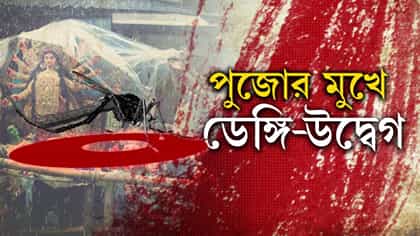 উৎসবের আবহে বাড়ছে ডেঙ্গির প্রকোপ, এবার পুজো কমিটিগুলিকে সতর্কবার্তা