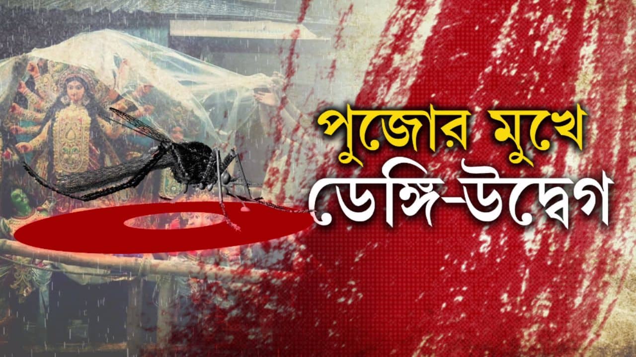 Dengue News: উৎসবের আবহে বাড়ছে ডেঙ্গির প্রকোপ, এবার পুজো কমিটিগুলিকে মানতে হবে এই নিয়ম