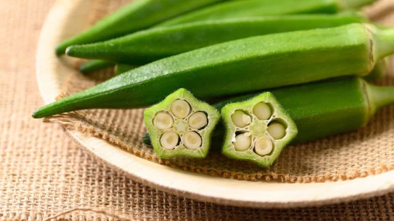 Okra Seeds Side Effects: জানেন ঢ্যাঁড়শের বীজ পেটে গেলে কী কী সাইড এফেক্টস হয়? Okra Seeds Side Effects: জানেন ঢ্যাঁড়শের বীজ পেটে গেলে কী কী সাইড এফেক্টস হয়?