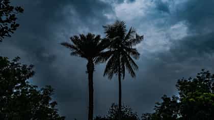 বঙ্গোপসাগরে দানা বাঁধছে সাইক্লোন 'অর্ণব', বড় সতর্কবার্তা মৌসম ভবনের