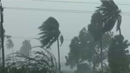 সাইক্লোনের প্রভাবে বাঁকুড়ায় কী হল দেখুন
