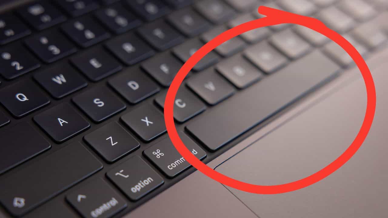 Keyboard: কিবোর্ডে এত বড় 'স্পেসবার' থাকে কেন, নিছক দেখতে ভালো লাগে বলে নয় Keyboard: কিবোর্ডে এত বড় 'স্পেসবার' থাকে কেন, নিছক দেখতে ভালো লাগে বলে নয়