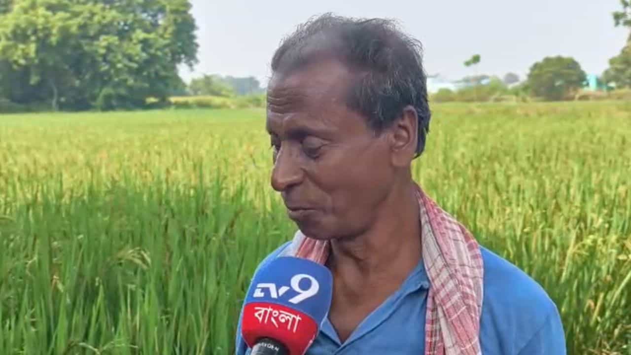 Arambagh Farmers: মাঠ ভরা আউশ-আমন, 'আর একটাও থাকবে না', পুজোর পরই বড় ক্ষতির আশঙ্কা, চিন্তা বাড়ছে আলু নিয়েও Arambagh Farmers: মাঠ ভরা আউশ-আমন, 'আর একটাও থাকবে না', পুজোর পরই বড় ক্ষতির আশঙ্কা, চিন্তা বাড়ছে আলু নিয়েও