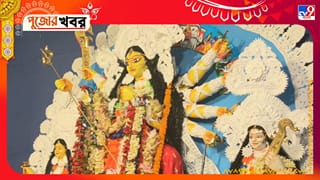 Durga Puja 2026: ২৪৮ বছরেও বদলায়নি প্রতিমার রং! মহিষাদল রাজবাড়ির পুজোর বিশেষত্ব জেনে নিন