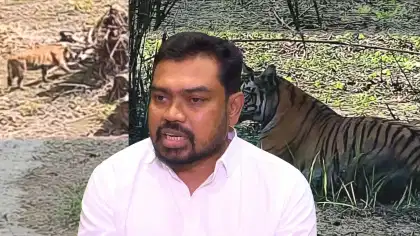 'বাঘিনি জানে না কোনটা অসম কোনটা বেঙ্গল', মুখ খুললেন বনমন্ত্রী