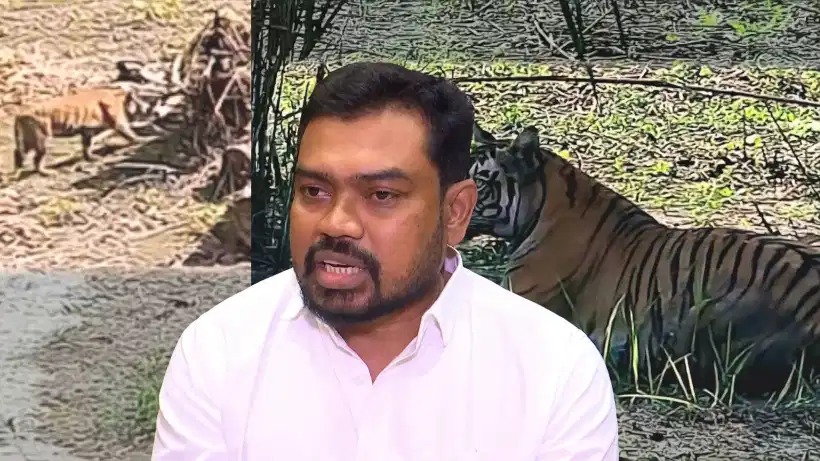 Manoj orao exclusive: বাঘিনি জানে না কোনটা অসম কোনটা বেঙ্গল আর ভুটান, বাঘিনি বাংলা ছাড়তেই মুখ খুললেন বনমন্ত্রী