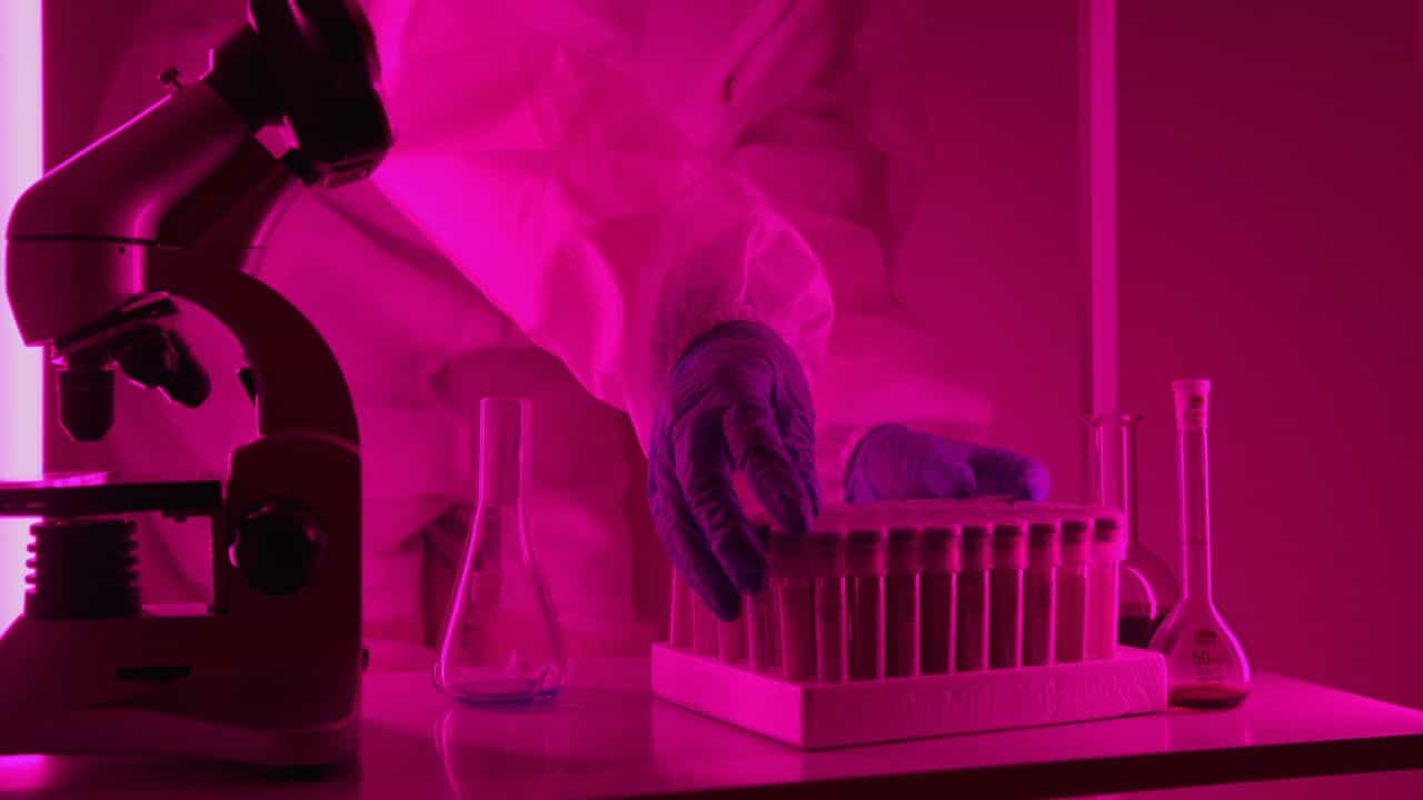 Russia Plague Outbreak: একটা ভাঙা টেস্ট টিউব, এক গবেষকের মৃত্যু! শয়ে শয়ে মানুষ এখন কোয়ারান্টিনে, আবার কি মহামারি ছড়াল? Russia Plague Outbreak: একটা ভাঙা টেস্ট টিউব, এক গবেষকের মৃত্যু! শয়ে শয়ে মানুষ এখন কোয়ারান্টিনে, আবার কি মহামারি ছড়াল?