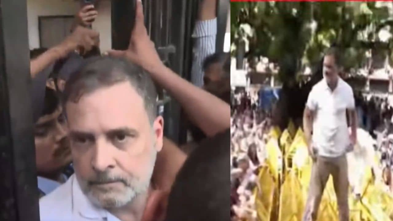 INDIA Alliance Protest: হঠাৎ আকাশবাণী ভবনে ঢুকে পড়লেন রাহুল, অভিষেক-মহুয়া আটক