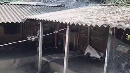একটা ফোন! দশমীতে স্বামীকে শেষ করে দিলেন স্ত্রী?