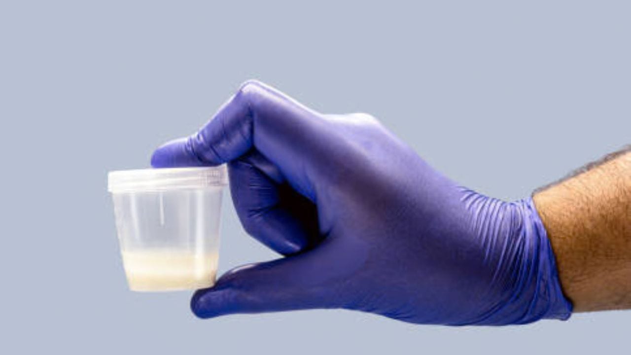 Sperm Freezing: মেয়েদের ডিম্বাণুর মতো ছেলেরাও কি নিজেদের স্পার্ম ফ্রিজ করতে পারেন? কত দিন ভালো থাকবে শুক্রাণু?