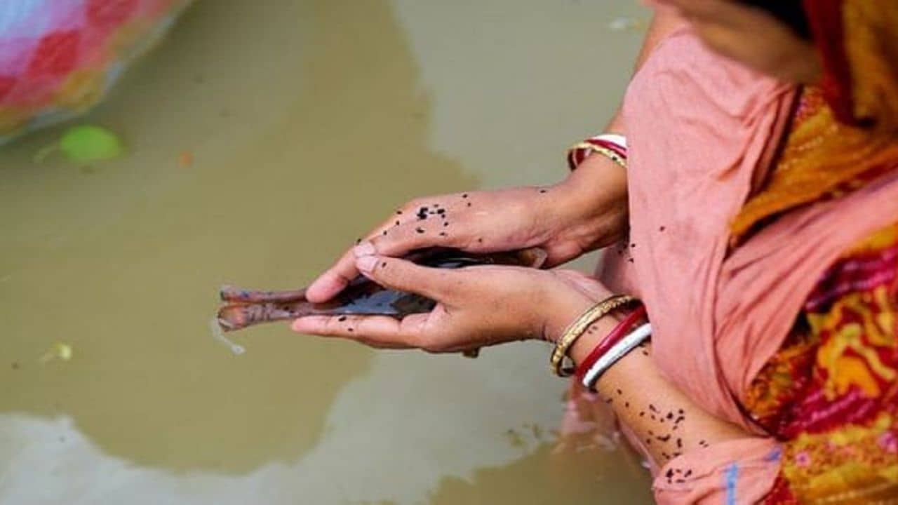 Mahalaya 2026: মহিলারা কি তর্পন করতে পারেন? শাস্ত্র বলছে...