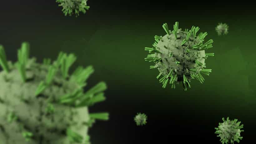 Shamonda Virus: পশুর মারণ ভাইরাস ঢুকে পড়ল মানুষের শরীরেও! হল মৃত্যুও, কীভাবে ছড়াচ্ছে স্যামোন্ডা ভাইরাস?