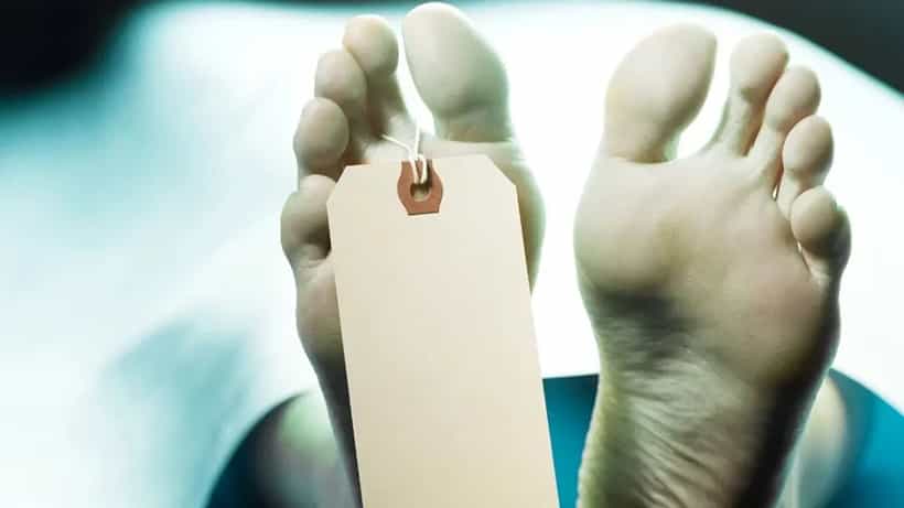 Student Suicide Case: ‘বাবা, আমি মায়ের কাছে চলে যাচ্ছি’, মোবাইলে ভিডিয়ো করার পর যা করলেন যুবক...