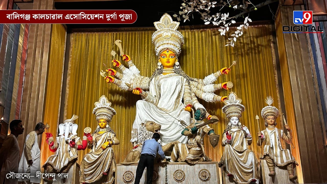 বালিগঞ্জ কালচারাল এসোসিয়েশনের এবারের নিবেদন ‘যোজন’। শিল্পী সুশান্ত শিবানি পালের ভাবনায় পরম্পরা ও আভিজাত্যের অসামান্য মেলবন্ধন ফুটে উঠেছে এই ৭৬তম বর্ষের পুজোয়। সাবেকি দুর্গা পুজোর ঐতিহ্যের সঙ্গে আধুনিক শিল্পভাবনার এই মিশেল দর্শনার্থীদের মন জয় করবে।