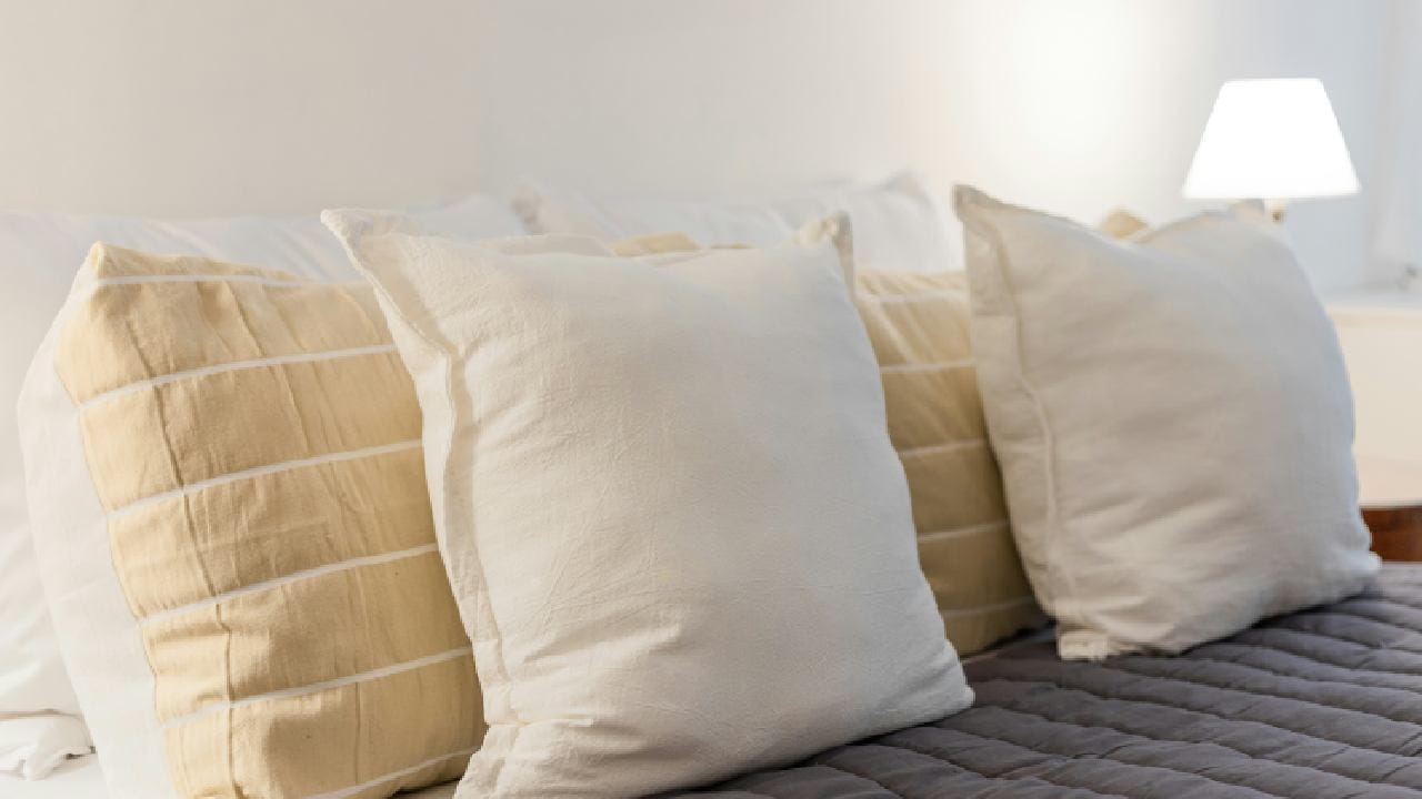 Cushion