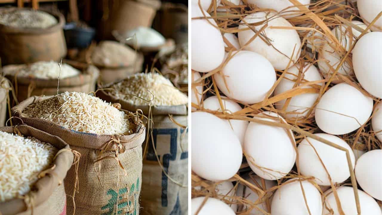 Plastic rice: বাজারে কি সত্যিই প্লাস্টিকের চাল আর নকল ডিম মিলছে? Plastic rice: বাজারে কি সত্যিই প্লাস্টিকের চাল আর নকল ডিম মিলছে?