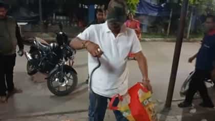 মাছ ধরতে গিয়ে সাপের ছোবল, তারপর...