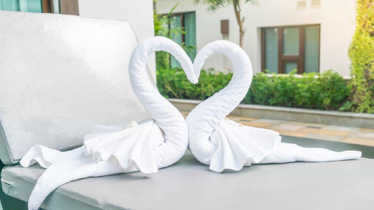Hotel hospitality secrets: জানেন হোটেলের বিছানায় কেন তোয়ালের রাজহাঁস রাখা থাকে? Hotel hospitality secrets: জানেন হোটেলের বিছানায় কেন তোয়ালের রাজহাঁস রাখা থাকে?