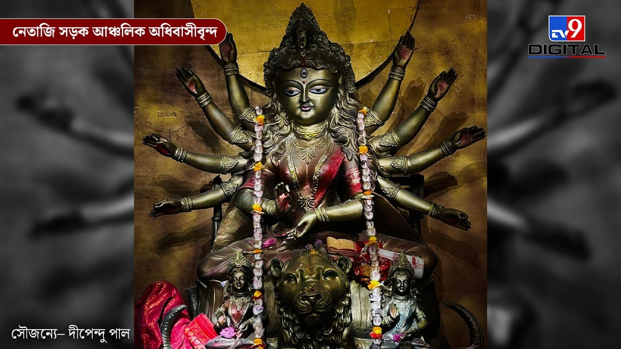 নেতাজি সড়ক আঞ্চলিক অধিবাসীবৃন্দ এবার ‘চাইনিজ অ্যান্ড ইন্ডিয়ান কালচার রিগার্ডিং বুদ্ধ’ থিমকে কেন্দ্র করে পুজো করছে। দুই দেশের প্রাচীন ইতিহাস ও বৌদ্ধ ধর্মের প্রভাব দারুণ শৈল্পিক ভাবনায় মণ্ডপে ফুটে উঠেছে। শান্তি ও সম্প্রীতির বার্তা নিয়ে এই পুজো দর্শনার্থীদের নজর কাড়তে প্রস্তুত।