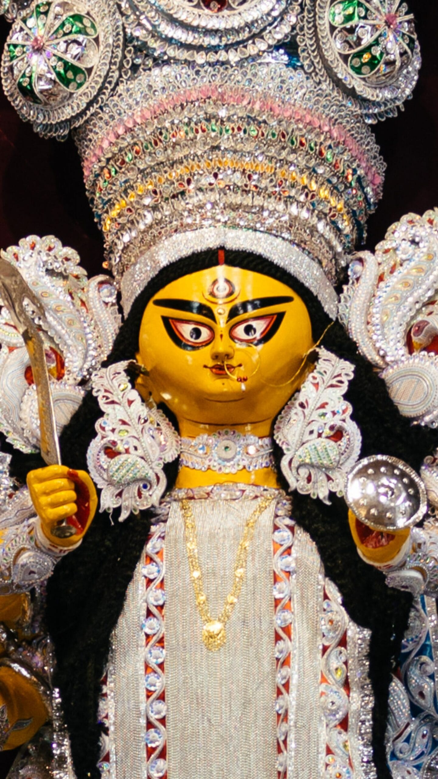 উৎসবের মরশুমে আন্দোলন? সাধারণের ভোগান্তি এড়াতে নজরদারি