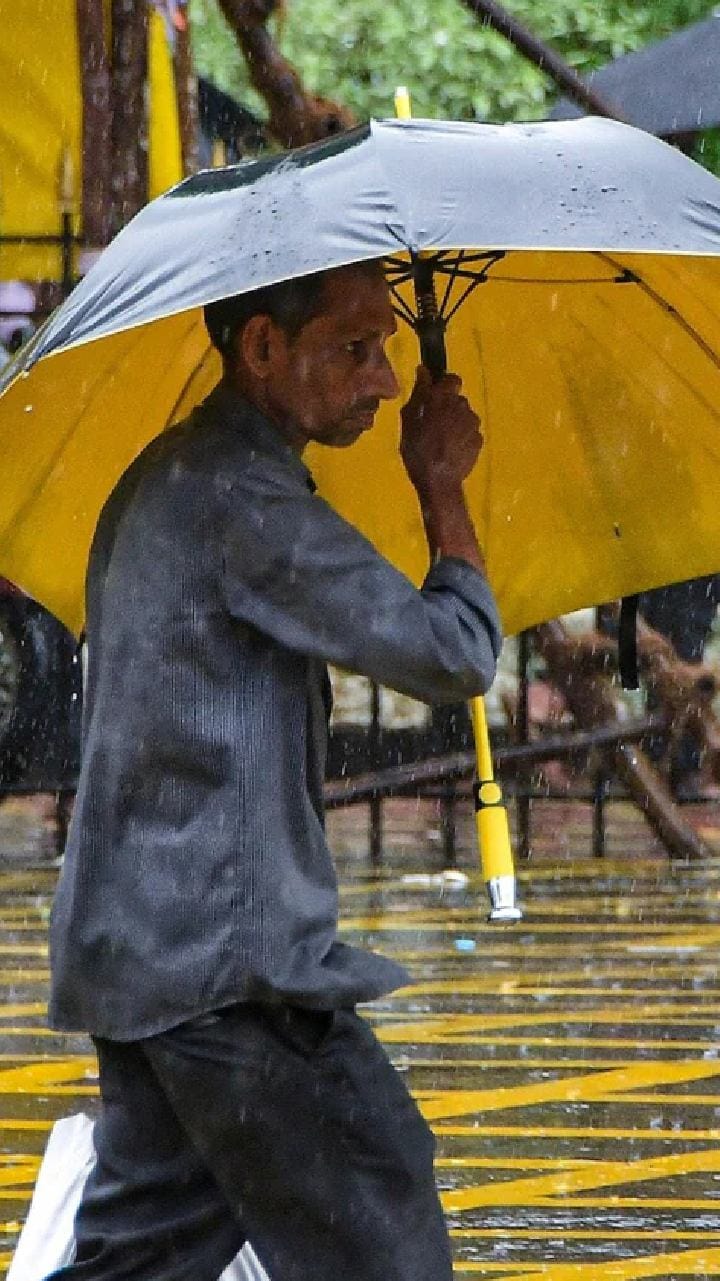 আজ ঠাকুর দেখতে হাতে ছাতা সঙ্গে রাখুন