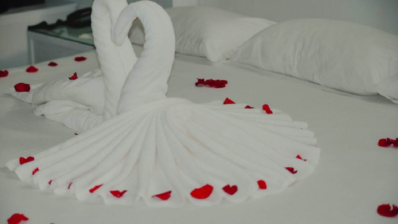 Rose Romantic