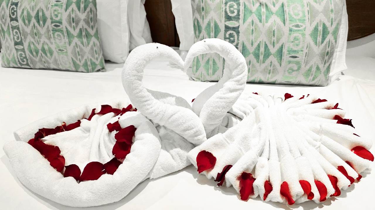 Two Rose Petals